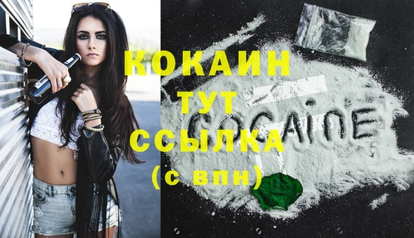 дживик Аркадак