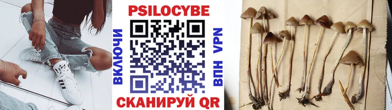 Галлюциногенные грибы Magic Shrooms  Купить  Верхотурье 